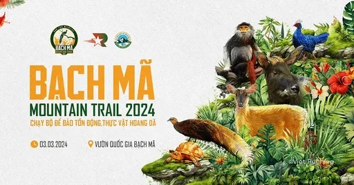 Giải Chạy Bach Ma Mountain Trail 2024